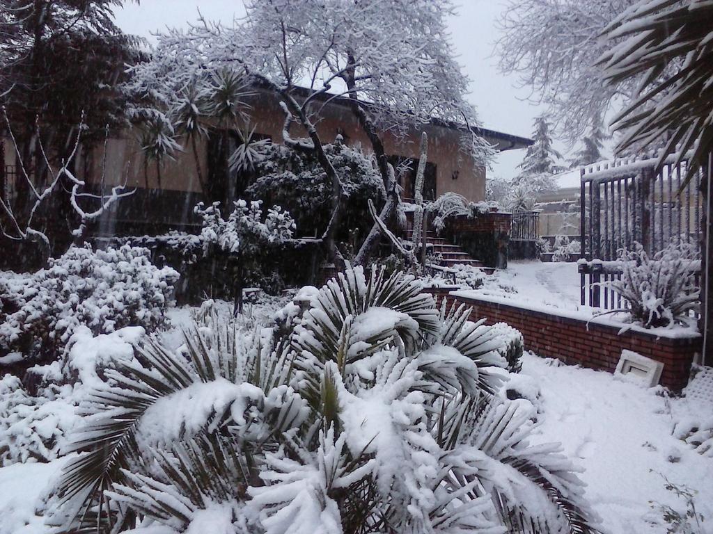 Bed and Breakfast Sotto Il Vulcano Nicolosi Exterior foto